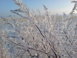 Au bord du chemin... (3)