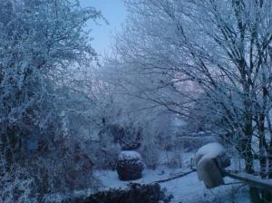 Vue matinale depuis ma chambre