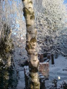 Vue depuis mon bureau