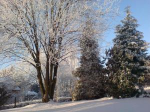 Vue depuis le living