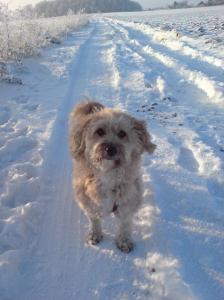 Noisette posant pour la photo