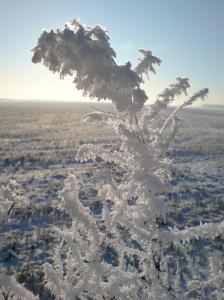 Au bord du chemin (2)