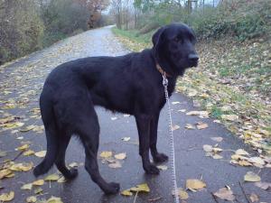 Illzach 2009 - Beauty